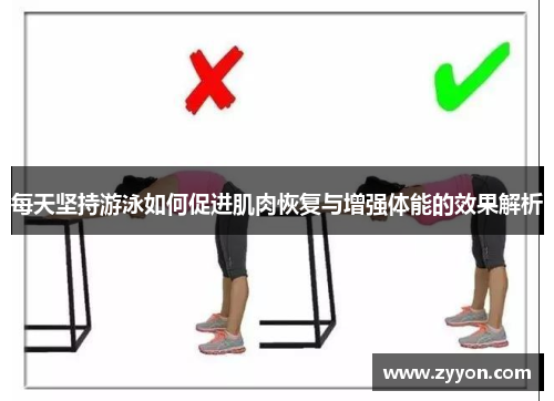 每天坚持游泳如何促进肌肉恢复与增强体能的效果解析 每天坚持游泳如何促进肌肉恢复与增强体能的效果解析